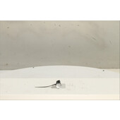 Interruptor de arranque