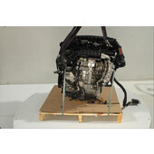 Motor gasolina