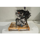 Motor gasolina