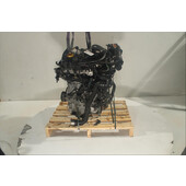 Motor gasolina