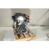 Motor gasolina