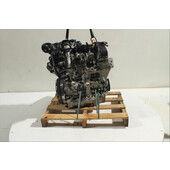 Motor gasolina