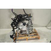 Motor gasolina