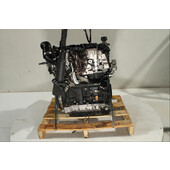 Motor gasolina