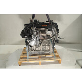 Motor gasolina