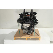 Motor gasolina