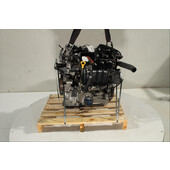 Motor gasolina
