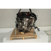 Motor gasolina
