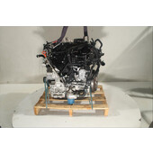 Motor gasolina