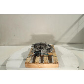 Motor eléctrico