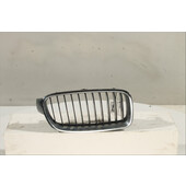 Rejilla radiador Der.