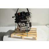 Motor gasolina