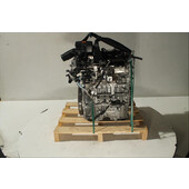 Motor gasolina