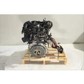 Motor gasolina