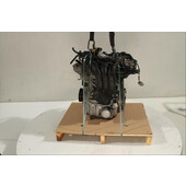 Motor gasolina
