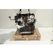 Motor gasolina