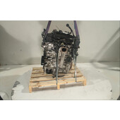 Motor gasolina