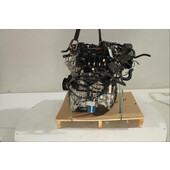 Motor gasolina