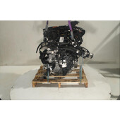 Motor gasolina