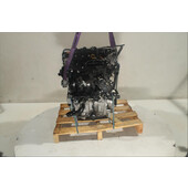 Motor gasolina