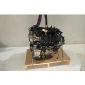 Motor gasolina