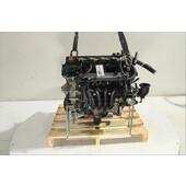 Motor gasolina