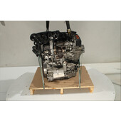 Motor gasolina