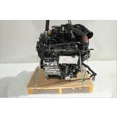 Motor gasolina