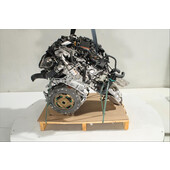 Motor gasolina