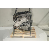 Motor gasolina