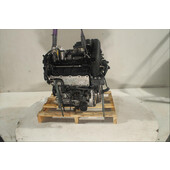 Motor gasolina
