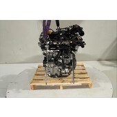 Motor gasolina