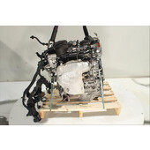 Motor gasolina