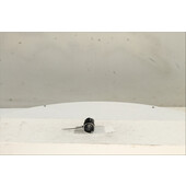 Interruptor de arranque