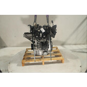 Motor gasolina