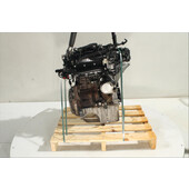 Motor gasolina