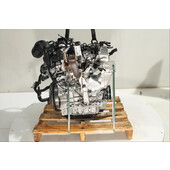 Motor gasolina