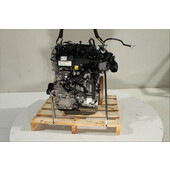 Motor gasolina
