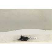 Palanca e interruptor freno de mano