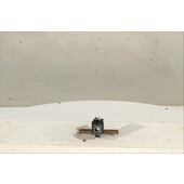 Mando control autorradio