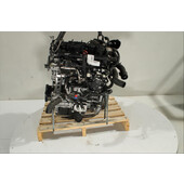 Motor gasolina