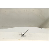 Interruptor de arranque