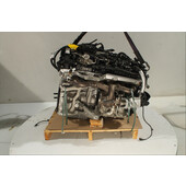 Motor gasolina