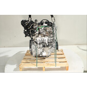 Motor gasolina