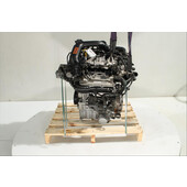 Motor gasolina