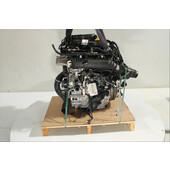 Motor gasolina