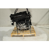 Motor gasolina