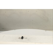 Interruptor de arranque