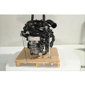 Motor gasolina