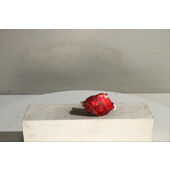 Piloto Tra. Inf. Izq.